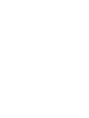 Stage 2 icon